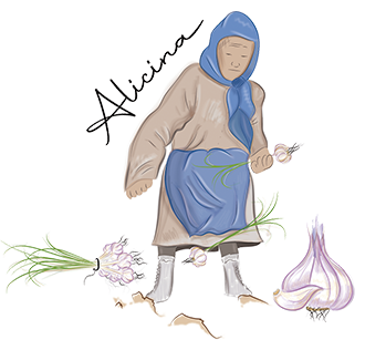 ajo morado de las pedroñeras