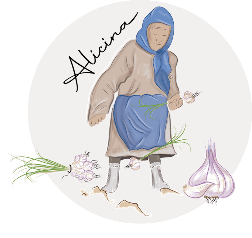 ajo morado de las pedroñeras alicina