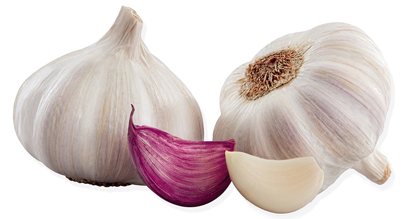 ajo morado de las pedroñeras