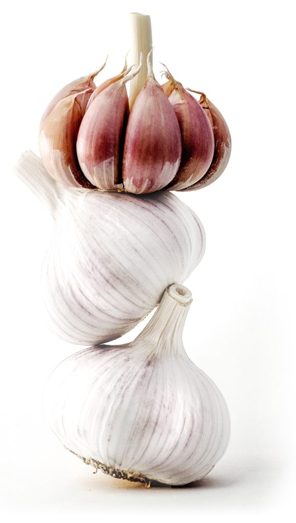 ajo morado de las pedroñeras