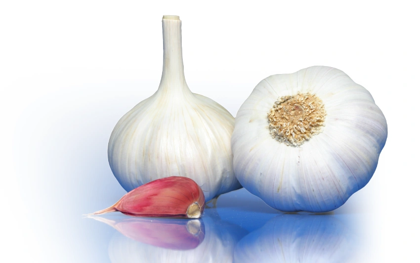 ajo morado de las pedroñeras