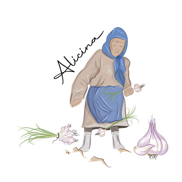 La Alicina. Ajo Morado de las Pedroñeras