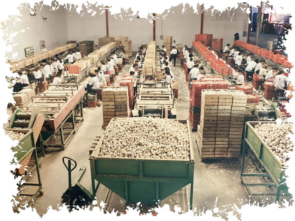 instalaciones cooperativa el santo